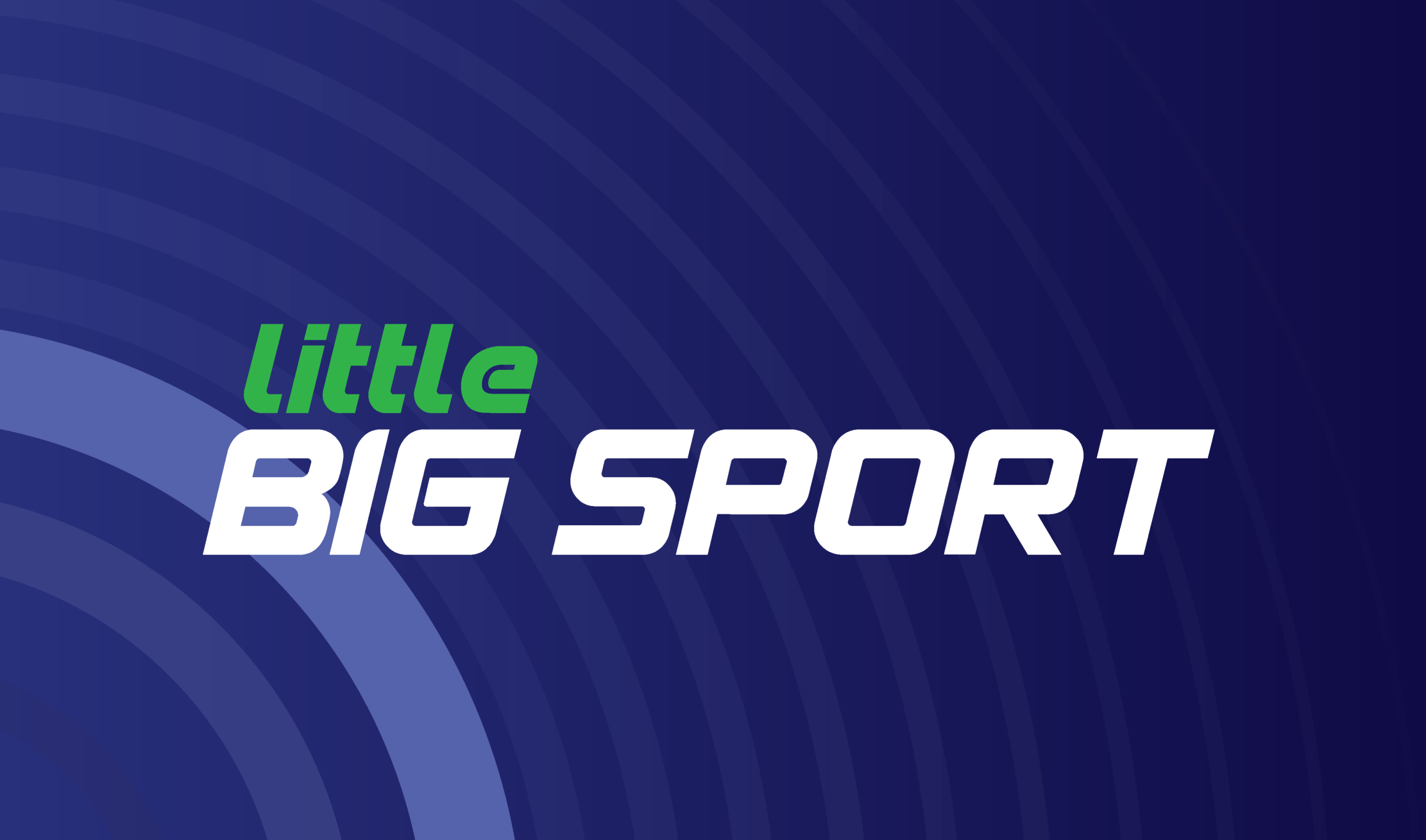 Sport branding design by Atyan Design Little Big Sport