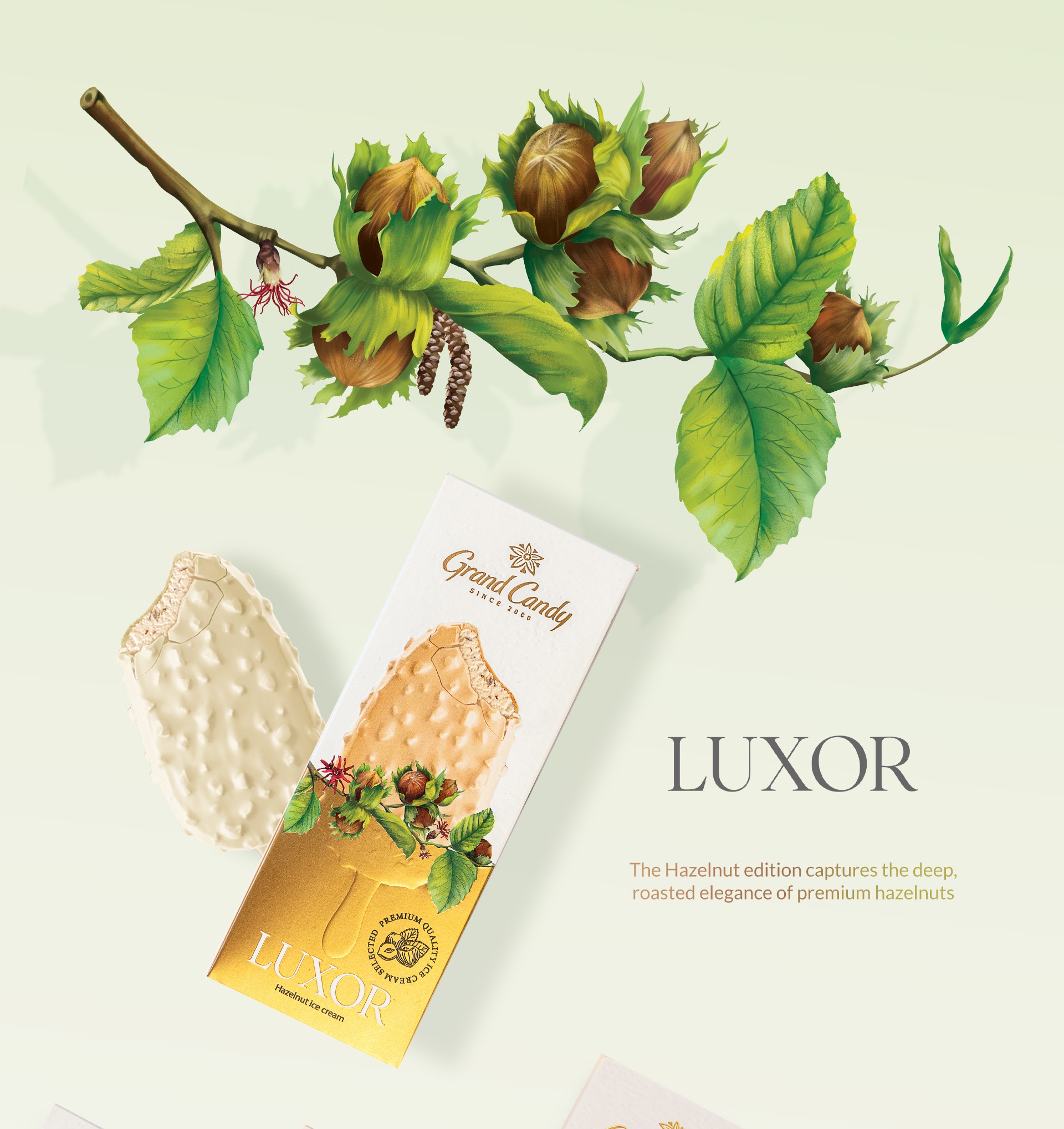 ice cream creative packaging design by Atyan Design.mp4