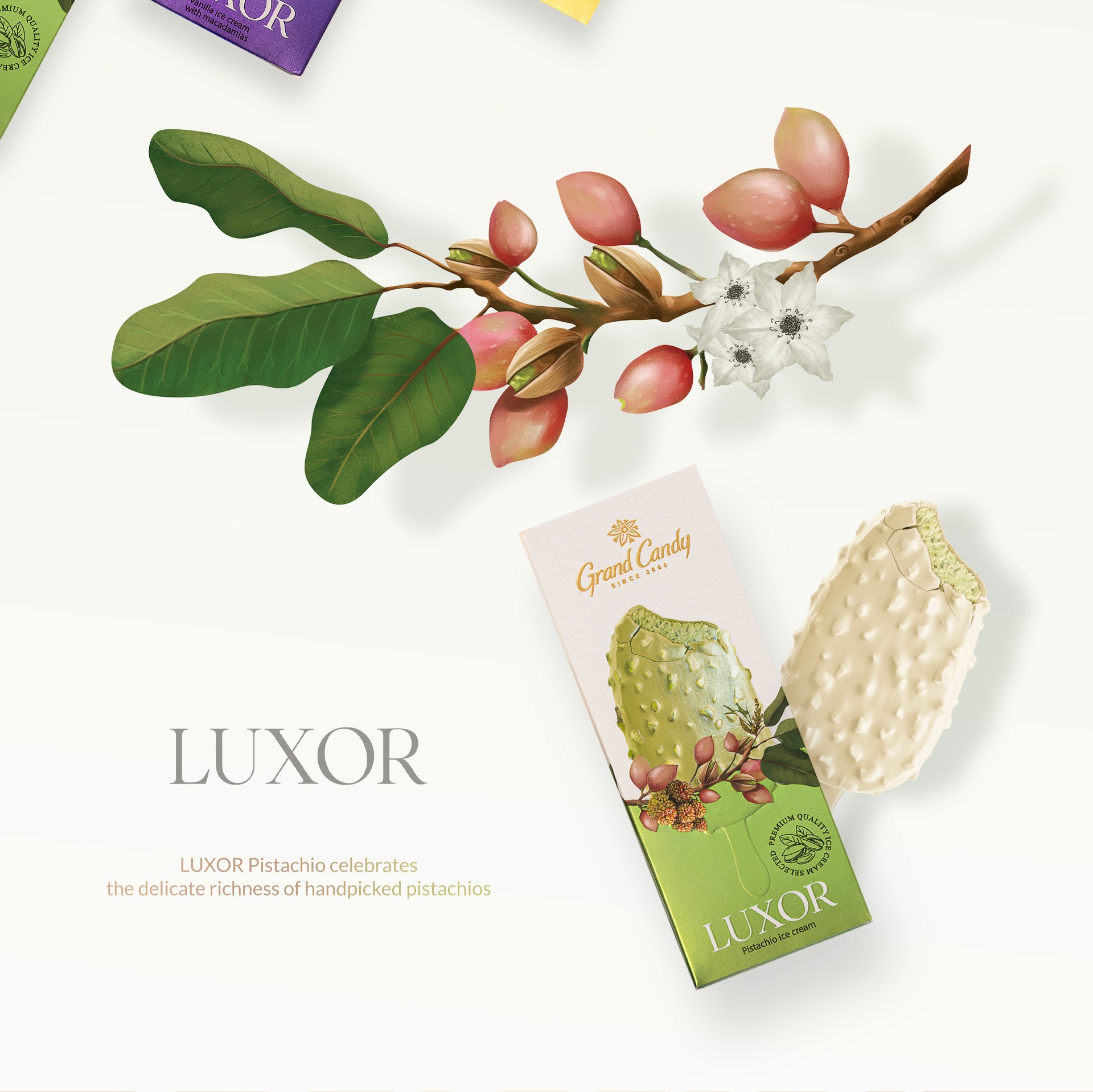 Pistacchio ice cream packaging design